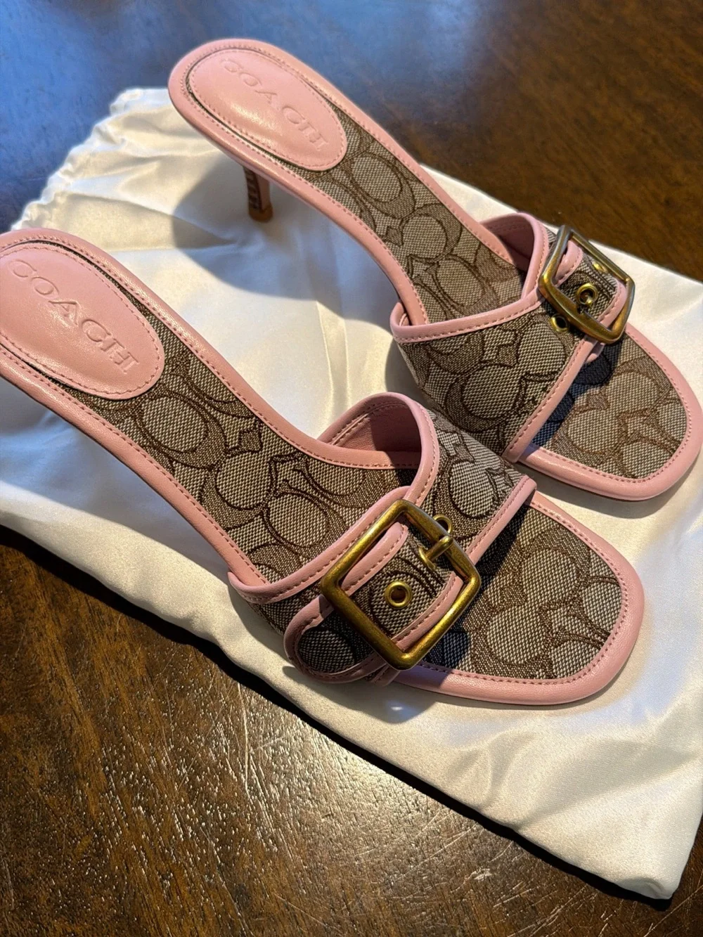 Coach Buckle Sandals